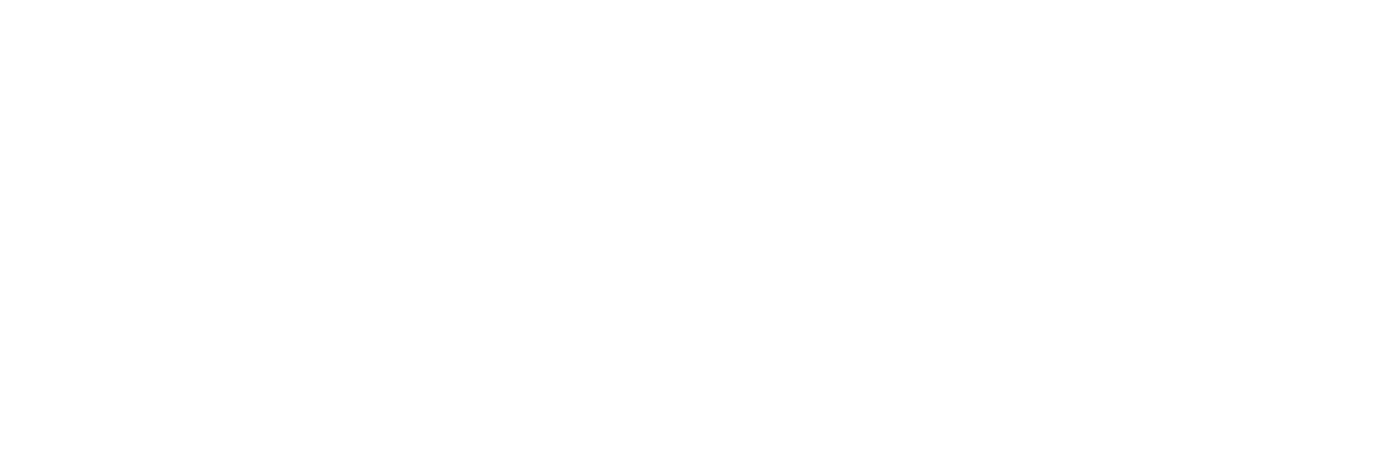 temgrup-logo-beyaz